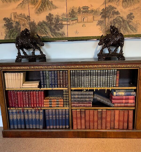 A regency rosewood open bookcase